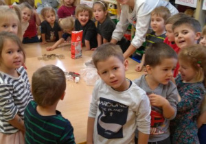 Robienie pierników Motylki