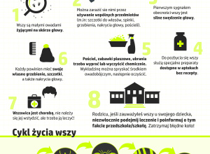 Wszystko o Wszawicy