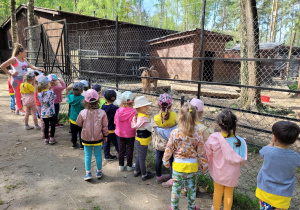 Zwiedzanie mini zoo