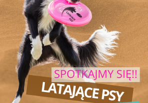 Plakat informacyjny - Latające Psy w Wilanowie - pokaz psich sportowców