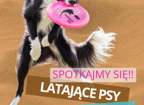 Latające Psy w Wilanowie - pokaz psich sportowców