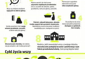 plakat z informacją o wszawicy