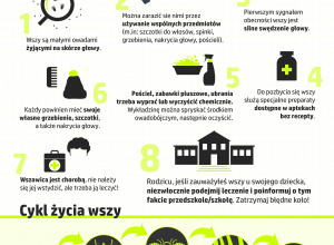 Wszystko o Wszawicy