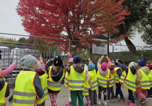 Na zdjęciu widać grupę dzieci w odblaskowych kamizelkach, stojących na chodniku i wskazujących w górę na drzewo o intensywnie czerwonych liściach. Dzieci obserwują jesienne zmiany w przyrodzie podczas spaceru edukacyjnego. W tle widoczne są ogrodzenie i inne drzewa.