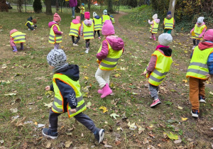 Na zdjęciu widać grupę małych dzieci bawiących się na świeżym powietrzu w parku. Dzieci ubrane są w kolorowe kurtki, czapki i odblaskowe kamizelki. Spacerują i zbierają liście pod opieką nauczycielki. Wokół widać drzewa z jesiennymi liśćmi.