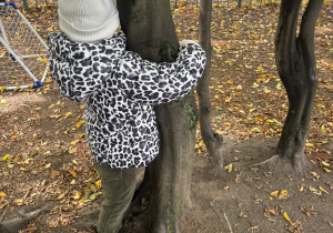 Na zdjęciu widać dziecko w białej czapce i kurtce w czarno-biały wzór, które obejmuje pień drzewa na placu zabaw. Wokół leżą jesienne liście, a w tle widoczne są ogrodzenie i fragment placu zabaw. Zdjęcie przedstawia moment kontaktu dziecka z przyrodą.