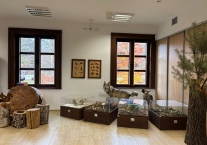 Wnętrze sali edukacyjnej o leśnym charakterze ,stoją tam przekroje pni drzew i pieńki do siedzenia, gabloty z preparatami przyrodniczymi oraz modele zwierząt (wilka i sarny), a za oknami widać kolorowe jesienne drzewa.