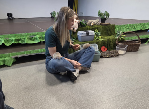 Warsztaty „Matka Gadka” - spotkanie z tenreczynkami jeżowatymi, ssakami