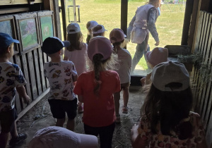 Dzieci przechodzą przez budynek gospodarczy na teren przeznaczony do zabaw i aktywności na świeżym powietrzu podczas pobytu w gospodarstwie edukacyjnym.