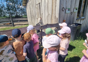 Dzieci stoją przy zagrodzie i z zainteresowaniem obserwują zwierzę gospodarskie podczas zwiedzania gospodarstwa edukacyjnego