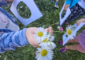 Dzieci podczas zajęć na łące obserwują z bliska białe polne kwiaty i wykorzystują papierowe ramki do poznawania przyrody.